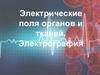 Электрография органов и тканей  (лекция 6)