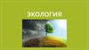 Экология