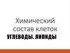 Химический состав клеток