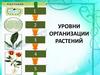 Органы растений