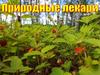 Природные лекари
