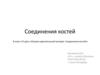 Соединения костей
