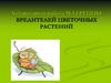 Группы вредителей цветочных растений  (лабораторная работа № 3)
