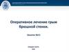 Оперативное лечение грыж брюшной стенки. Занятие №11