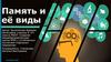 Память и её виды