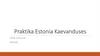 Praktika Estonia Kaevanduses