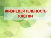 Жизнедеятельность клетки