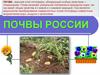Почвы России  (8 клаcc)