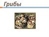 Грибы