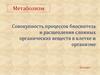Метаболизм