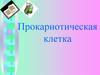 Прокариотическая клетка