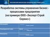 Разработка системы управления бизнес - процессами предприятия