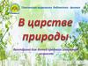 Викторина для детей среднего школьного возраста "В царстве природы"