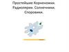 Простейшие Корненожки. Радиолярии. Солнечники. Споровики