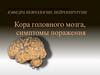 Кора головного мозга, симптомы поражения