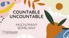 Countable uncountable (much/many, some/any)