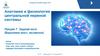 Анатомия и физиология центральной нервной системы. Лекция 7. Задний мозг (Варолиев мост, мозжечок)
