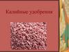 Калийные удобрения. Роль питательного элемента для растений