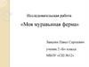 Исследовательская работа «Моя муравьиная ферма»