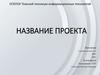 Название проекта. Шаблон презентации с описанием