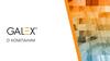 О компании Galex