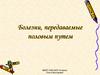Болезни, передаваемые половым путем