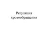 Регуляция кровообращения