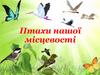 Птахи нашої місцевості
