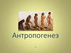Антропогенез