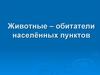 Животные - обитатели населённых пунктов