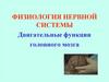Физиология нервной системы. Двигательные функции головного мозга