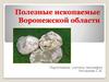 Полезные ископаемые Воронежской области. География полезных ископаемых
