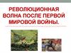 Революционная волна после Первой мировой войны