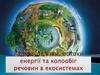 Харчеві зв'язки, потоки енергії та колообіг речовин в екосистемах