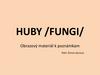 Huby (fungi)