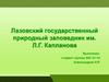 Лазовский государственный природный заповедник им. Л.Г. Капланова