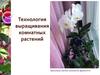 Технология выращивания комнатных растений