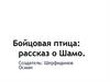 Бойцовая птица: рассказ о Шамо