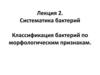 Систематика бактерий. Классификация бактерий по морфологическим признакам  (лекция 2)