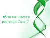 Что вы знаете о растении Салат?