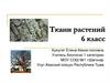 Ткани растений  (6 класс)