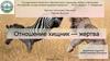 Отношение хищник — жертва