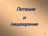 Питание и пищеварение