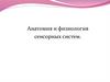 Анатомия и физиология сенсорных систем