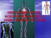 20 Фізіологія мікроциркуляції венозної і лімфатичної систем