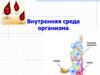 Внутренняя среда организма