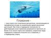 Плавание - вид спорта или спортивная дисциплина?