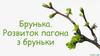 Брунька. Розвиток пагона з бруньки