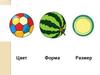 Цвет. Форма. Размер