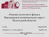 Оценка лесосечного фонда в Верховажском муниципальном округе Вологодской области